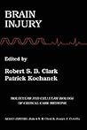 Brain Injury (Molecular & Cellular Biology of Critical Care Medicine, 2) Brain Injury (Molecular & Cellular Biology of Critical Care Medicine, 2)
