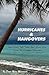 Hurricanes & Hangovers by Dear Miss Mermaid