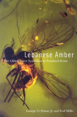 Lebanese Amber: The Oldest Insect Ecosystem in Fossilized Resin (Paperback)