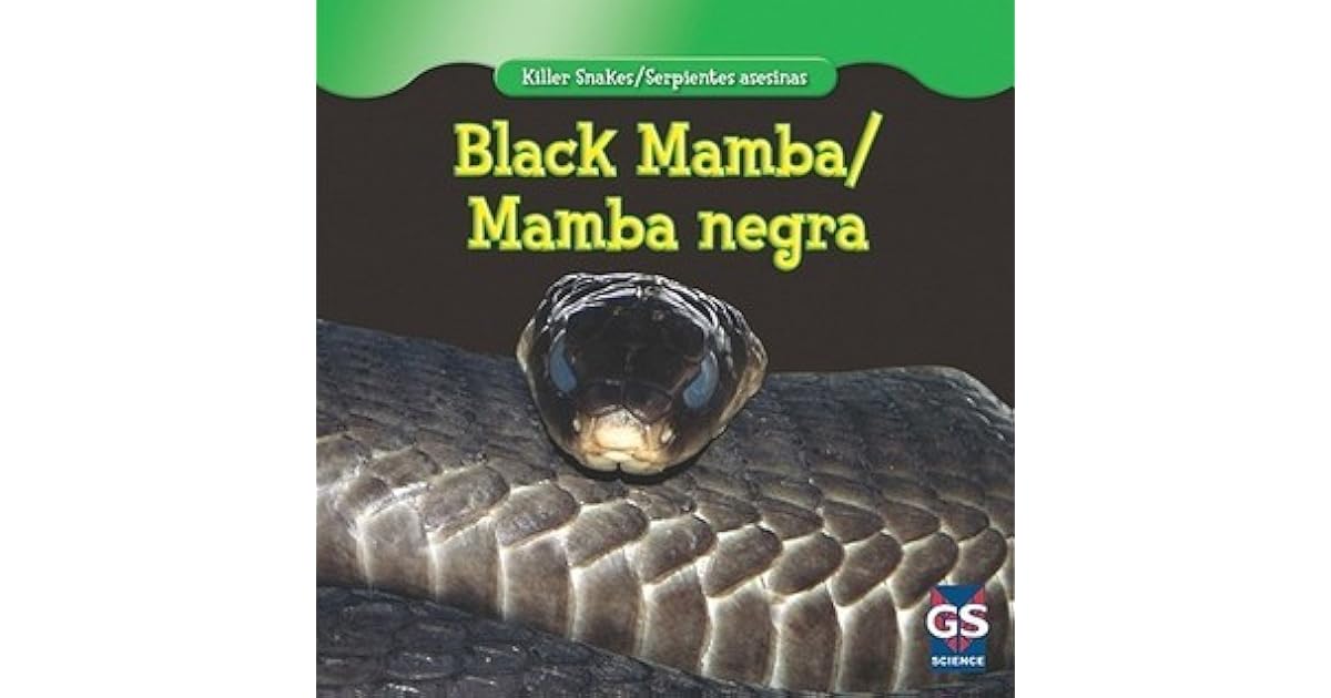 Negra mamba black mamba