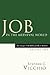 Job in the Medieval World (Image of the Biblical Job: A History)