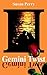 Gemini Twist by Susan Perry
