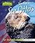 Southern Sea Otters: Fur-tastrophe Avoided (America's Animal Comebacks)