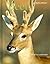 Deer (Animal Ways)