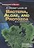 A Closer Look at Bacteria, Algae, and Protozoa (Introduction to Biology)