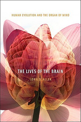 The Lives of the Brain: Human Evolution and the Organ of Mind (Hardcover)