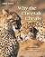 Why the Cheetah Cheats: And Other Mysteries of the Animal World