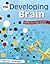 The Developing Brain: Birth to Age Eight