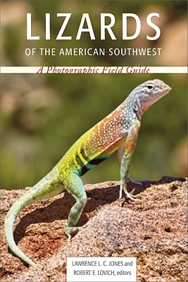 Lizards of the American Southwest: A Photographic Field Guide (Paperback)