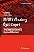 MEMS Vibratory Gyroscopes: Structural Approaches to Improve Robustness (MEMS Reference Shelf)