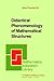Didactical Phenomenology of Mathematical Structures (Mathematics Education Library, 1)