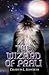 The Wizard Of Prali by Davidson L. Haworth The Wizard Of Prali by Davidson L. Haworth