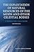 The Exploitation of Natural Resources of the Moon and Other Celestial Bodies: A Proposal for a Legal Regime (4) (Studies in Space Law)