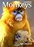 Monkeys by Marc Zabludoff
