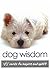 Dog Wisdom: 45 Cards to Inspire and Uplift
