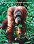 Essentials of Ecology