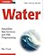 Water: Simplified Web Services and XML Programming