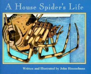 A House Spider's Life (Nature Upclose)
