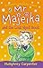 Mr Majeika and the Lost Spe...