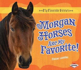 Morgan Horses Are My Favorite! (My Favorite Horses)