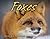 Foxes (Animal Predators)