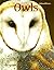 Owls (AnimalWays)