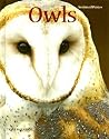 Owls (AnimalWays)