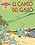 El canto del gallo/ The Song of the Rooster