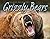 Grizzly Bears (Animal Predators)