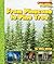 From Pinecone to Pine Tree by Ellen Weiss