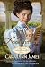 Love on Assignment (Thorndike Press Large Print Christian Romance Series: A Ladies of Bummerhill Novel)