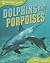 Dolphins and Porpoises
