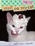 Stuff on My Cat: The Book