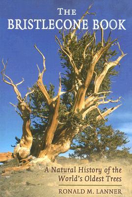 What Is The Oldest Tree In The World