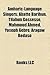 Amharic-Language Singers: Abatte Barihun, Tilahun Gessesse, Mahmoud Ahmed, Yoseph Gebre, Aragaw Bedaso
