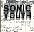 Sonic Youth: Sensational Fix