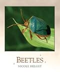 Beetles