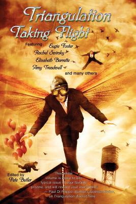 Triangulation: Taking Flight (Paperback)