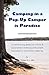 Camping in a Pop-Up Camper is Paradise: A carry-along guide for novice & experienced camping enthusiasts interested in tent-trailer camping.