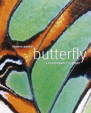 Butterfly (Hardcover)