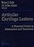 Articular Cartilage Lesions: A Practical Guide to Assessment and Treatment