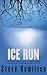 Ice Run (Alex McKnight, #6)