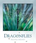 Dragonflies