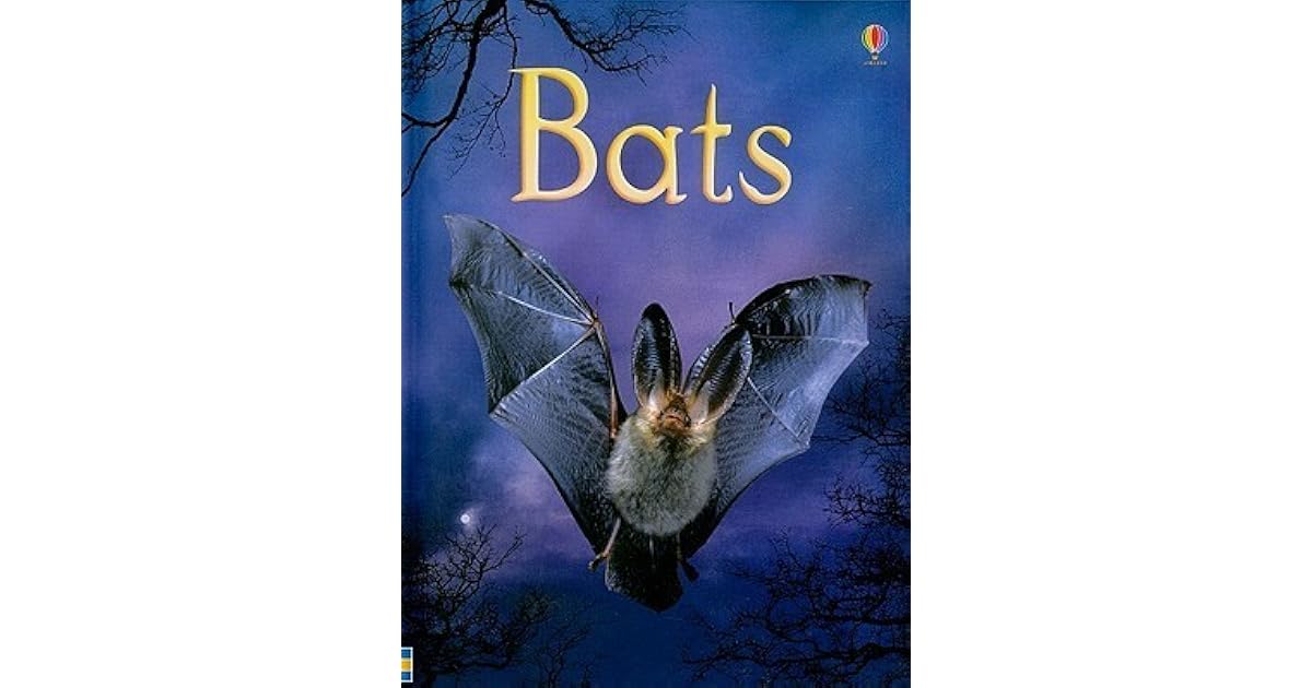 Bats by Megan Cullis