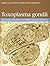 Toxoplasma Gondii: The Model Apicomplexan. Perspectives and Methods
