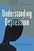 Understanding Depression, 2d ed. by Paul R. Robbins