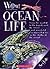 Ocean Life!