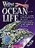 Ocean Life! (World of Wonder)