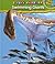 Swimming Giants (I Love Reading: Dino World)