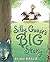 Silly Goose's Big Story by Keiko Kasza